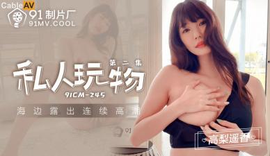 国产午夜精品AV一区二区麻豆,日产精品高潮呻吟AV久久,国产AV91CM245私人玩物2高梨遥香的啊!,国产视频